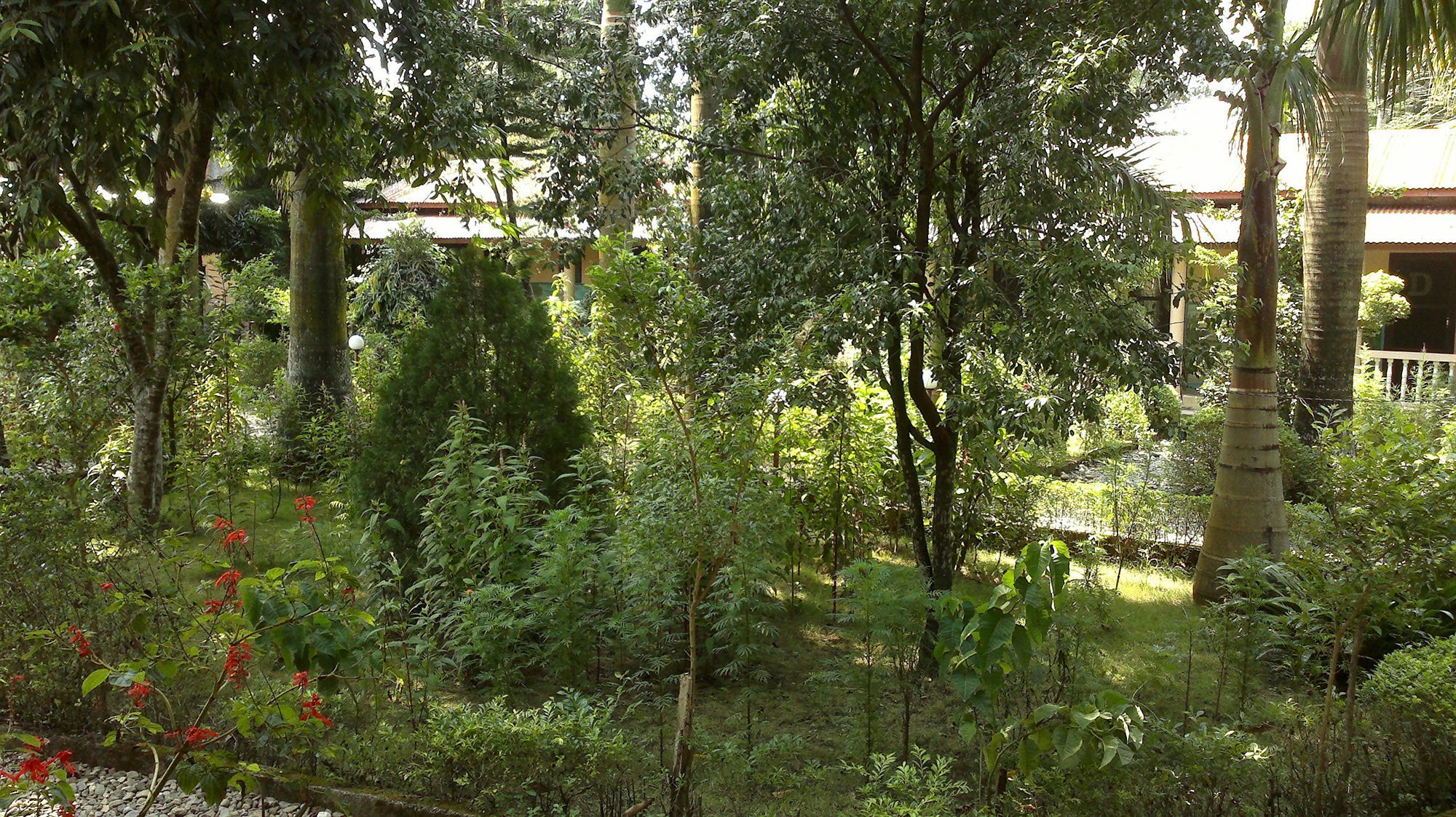 Ama Garden Sauraha Hotell Eksteriør bilde