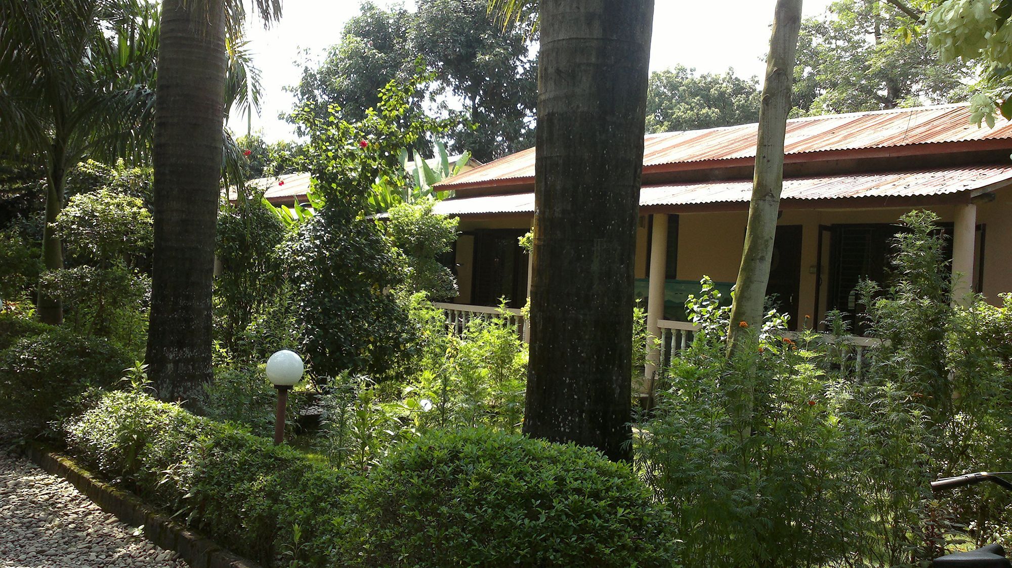 Ama Garden Sauraha Hotell Eksteriør bilde