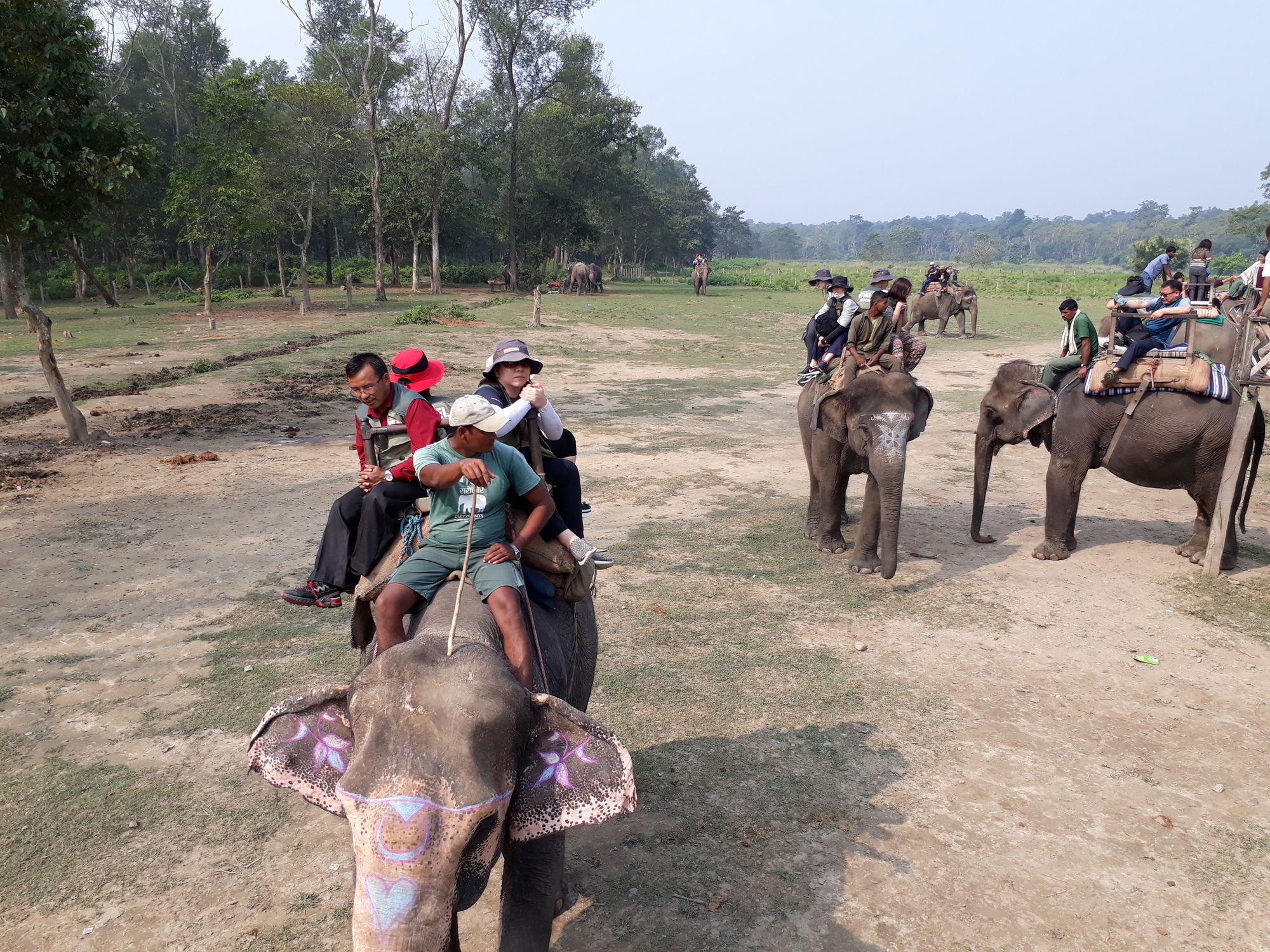 Ama Garden Sauraha Hotell Eksteriør bilde