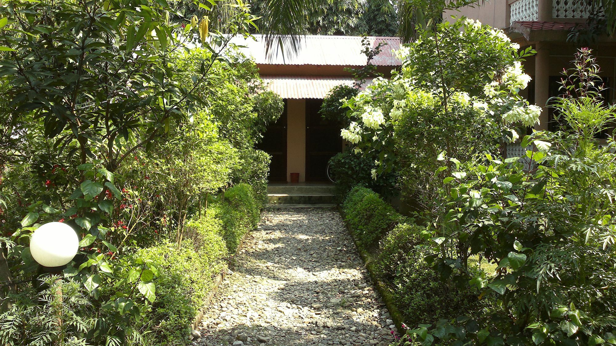 Ama Garden Sauraha Hotell Eksteriør bilde