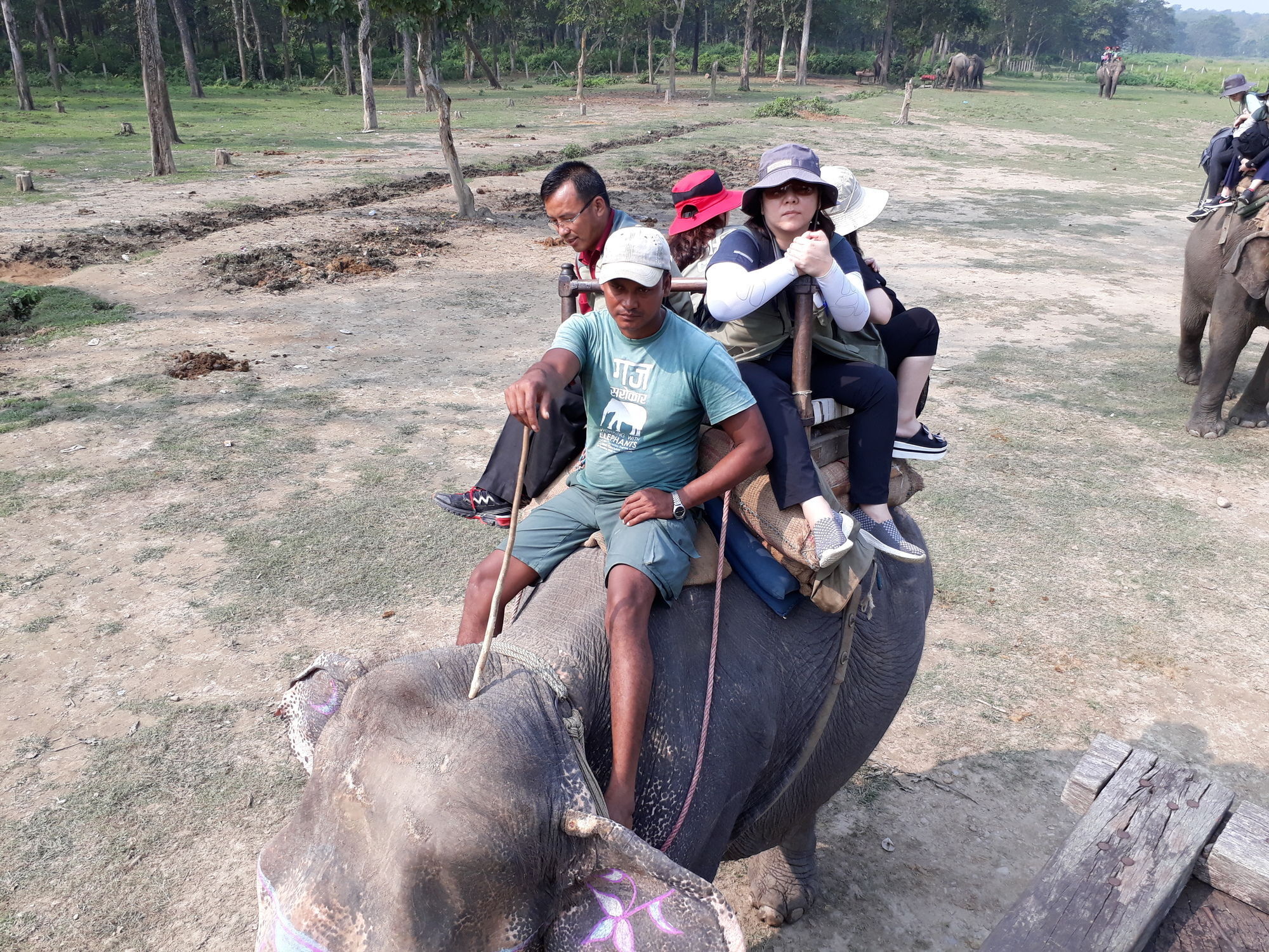 Ama Garden Sauraha Hotell Eksteriør bilde
