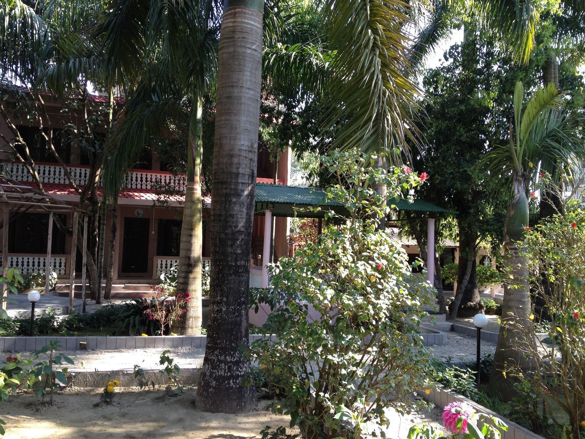 Ama Garden Sauraha Hotell Eksteriør bilde