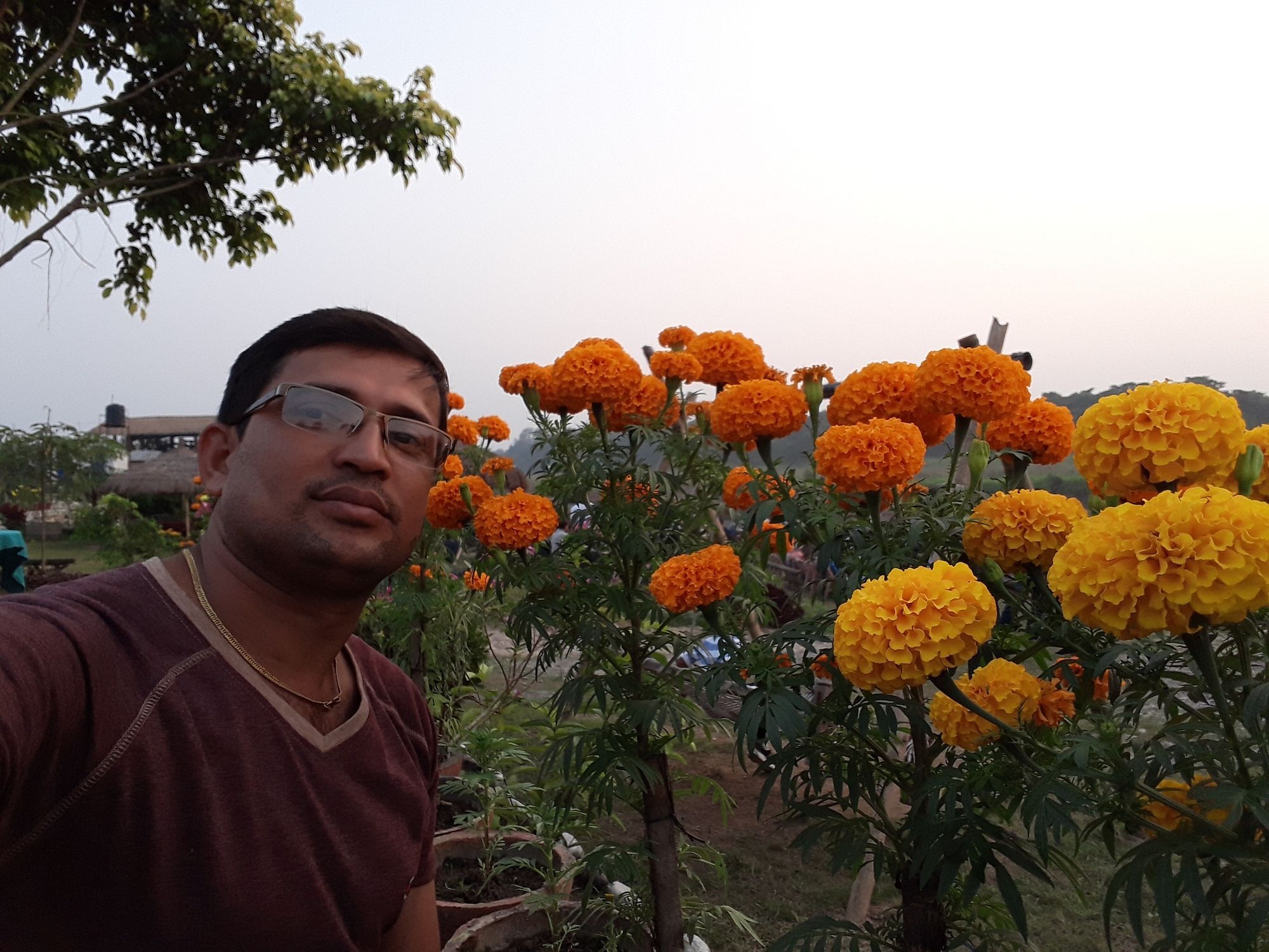 Ama Garden Sauraha Hotell Eksteriør bilde
