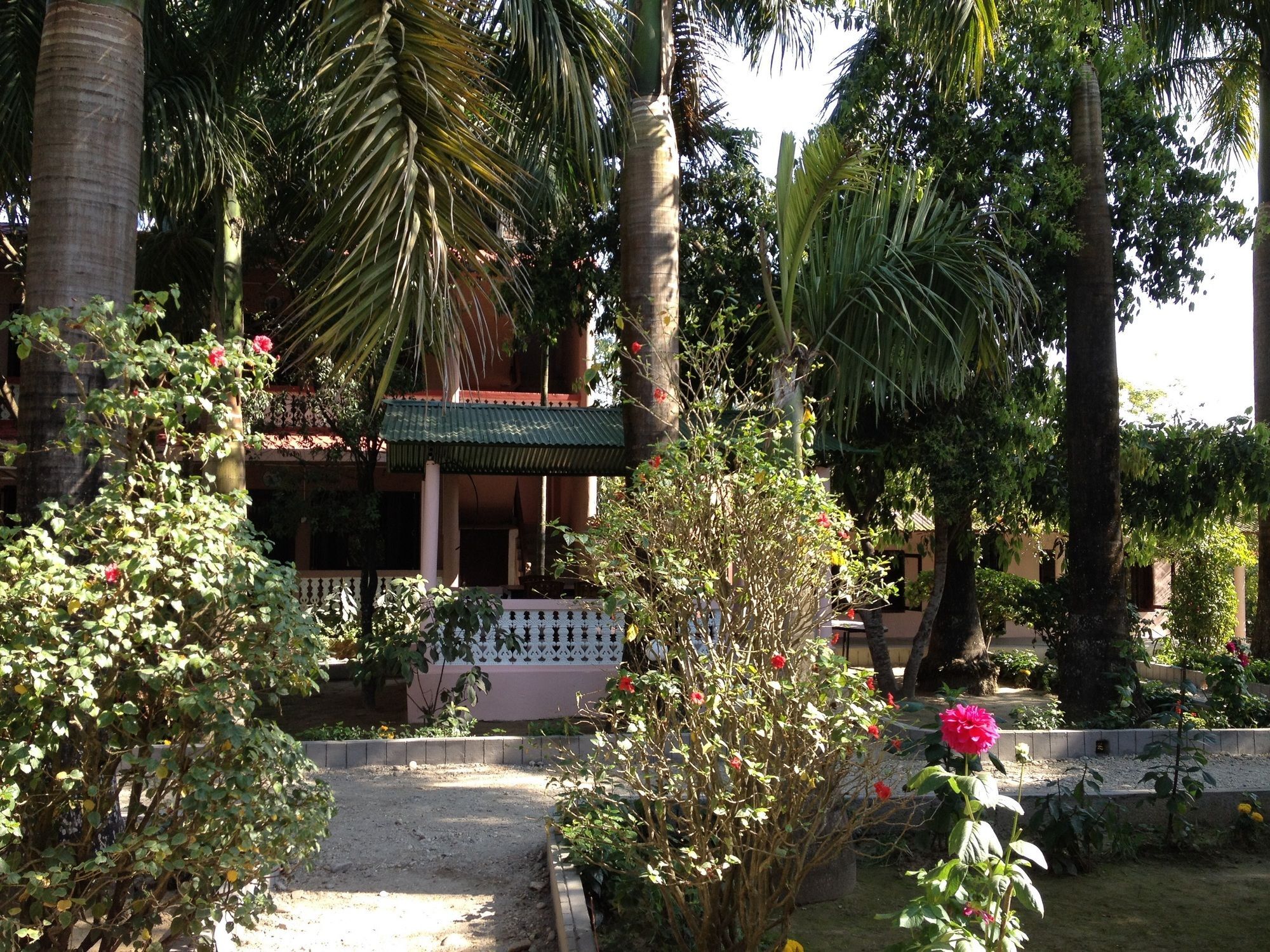 Ama Garden Sauraha Hotell Eksteriør bilde