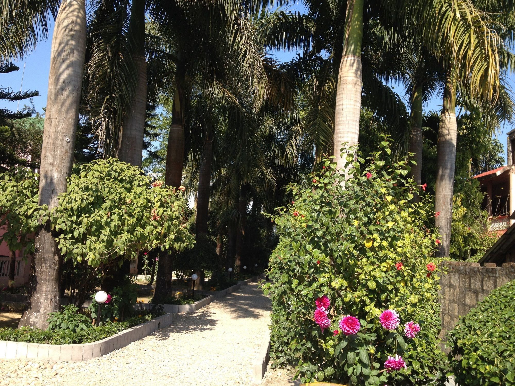 Ama Garden Sauraha Hotell Eksteriør bilde