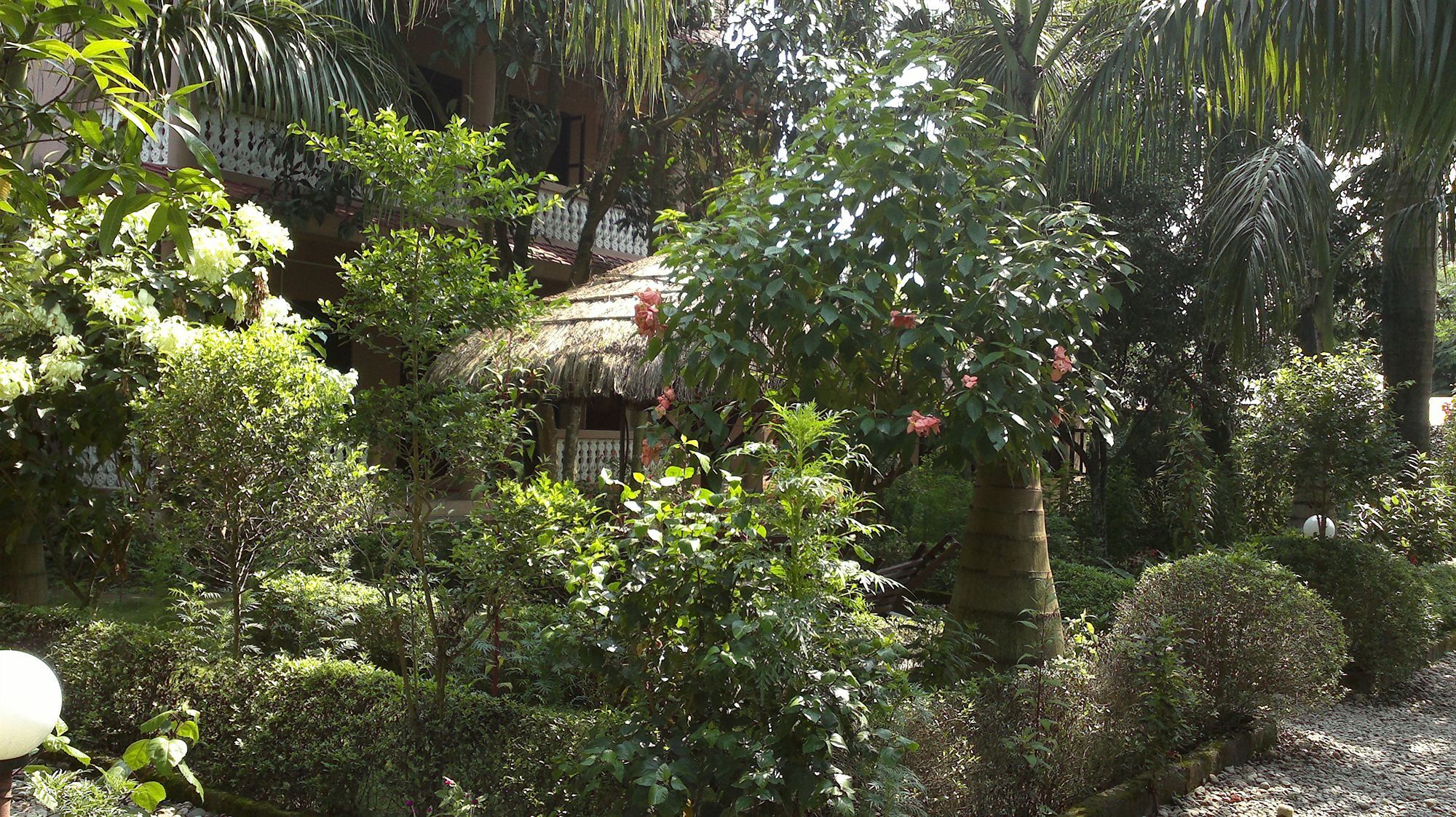 Ama Garden Sauraha Hotell Eksteriør bilde
