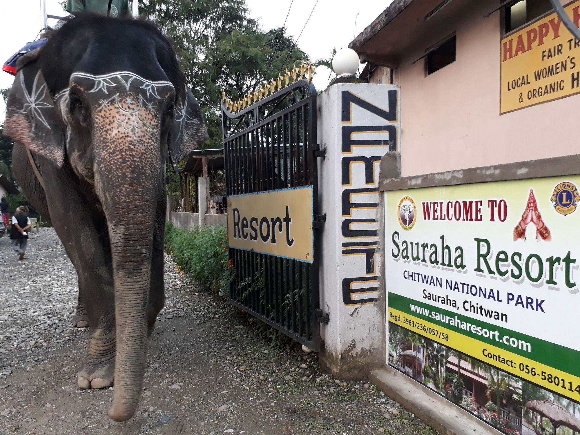 Ama Garden Sauraha Hotell Eksteriør bilde