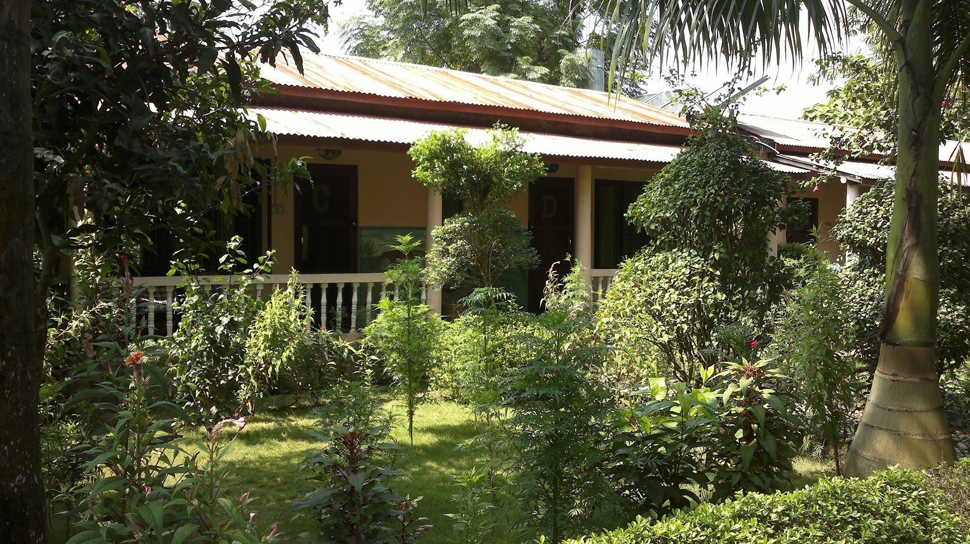 Ama Garden Sauraha Hotell Eksteriør bilde