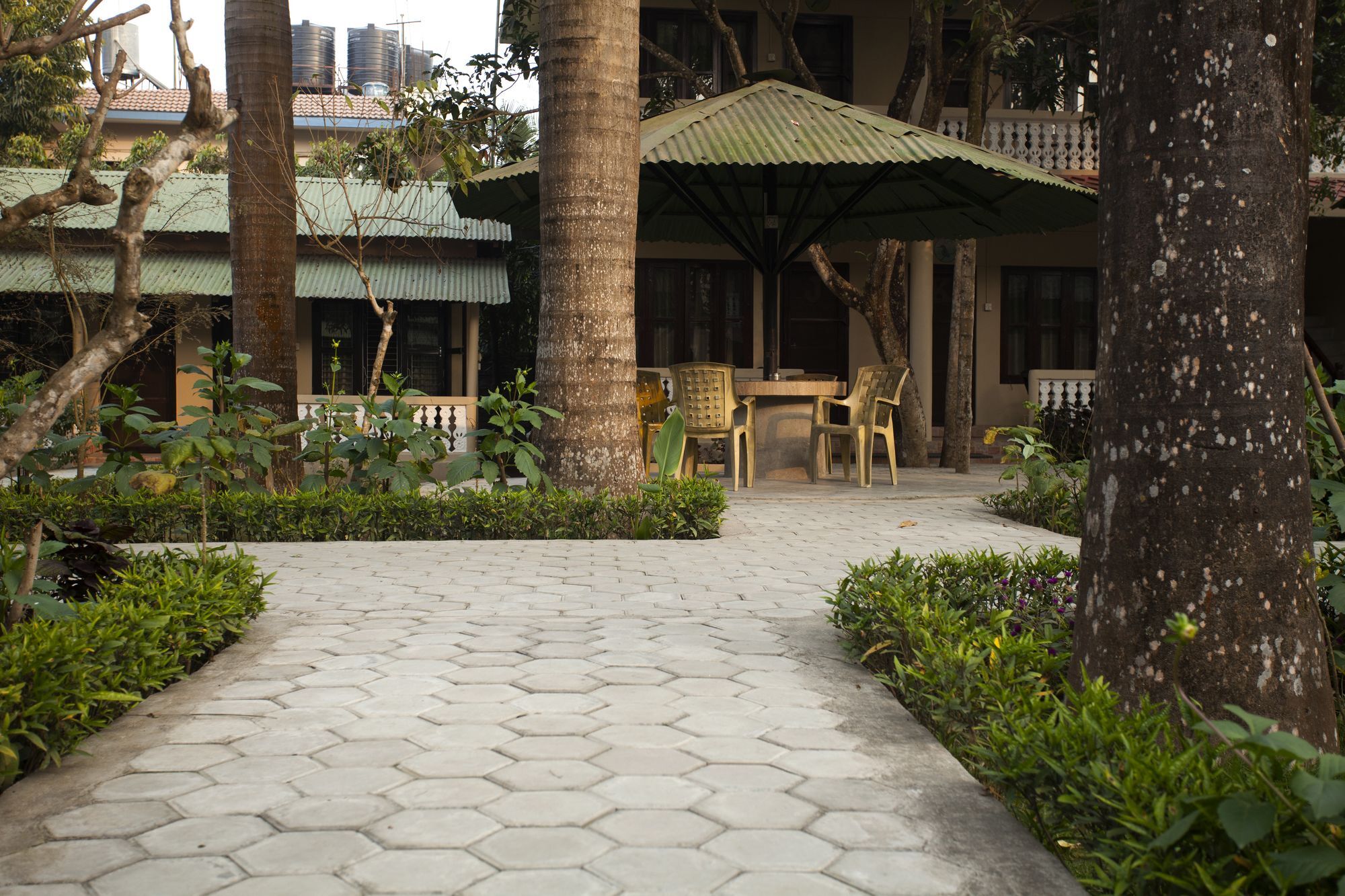 Ama Garden Sauraha Hotell Eksteriør bilde