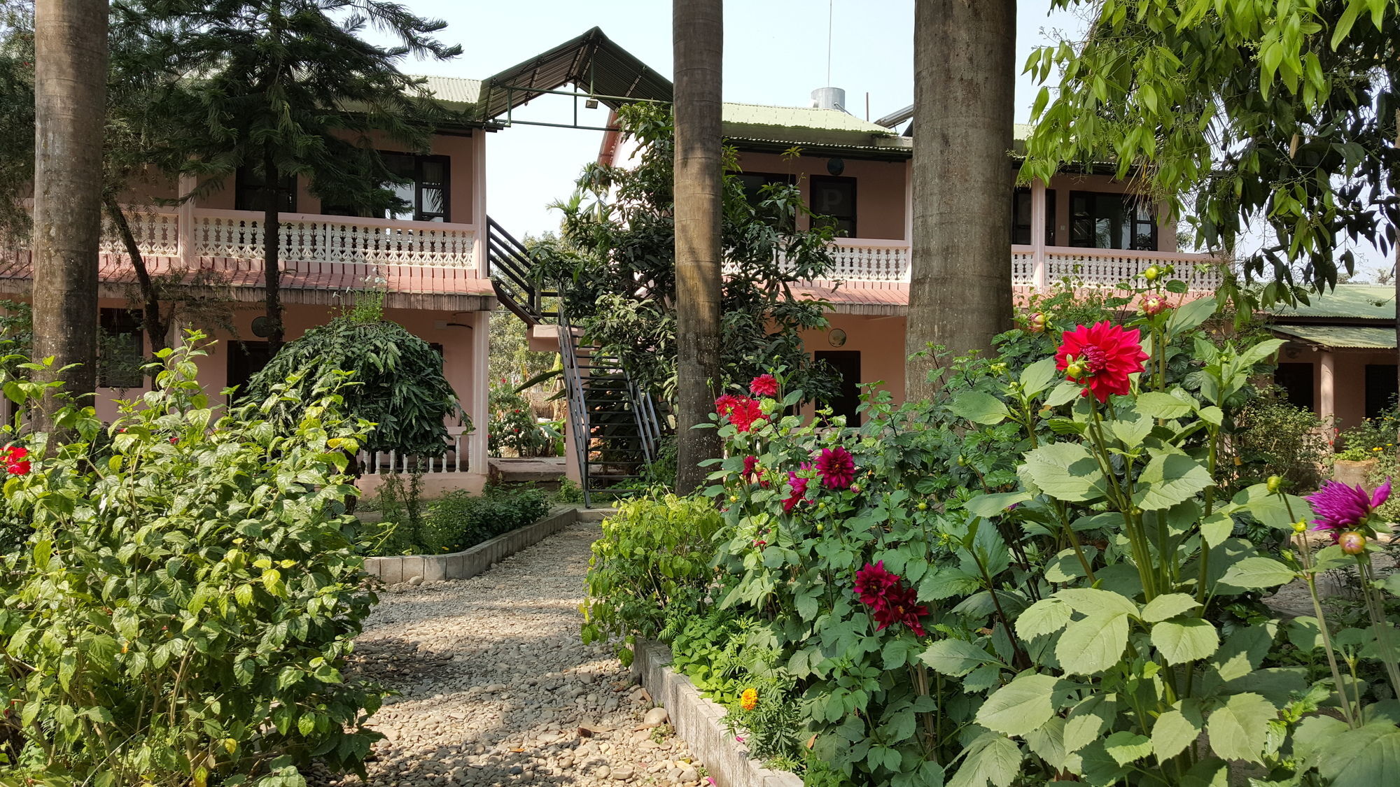 Ama Garden Sauraha Hotell Eksteriør bilde